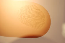 End of finger with fingerprint